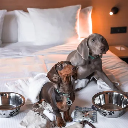 Paxton Paris Mlv 4*